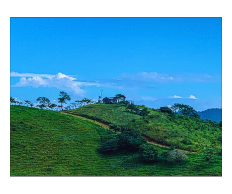 Get Your Farm On An Island In Costa Rica Today.